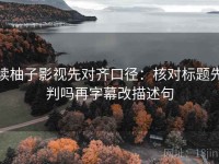 读柚子影视先对齐口径：核对标题先判吗再字幕改描述句