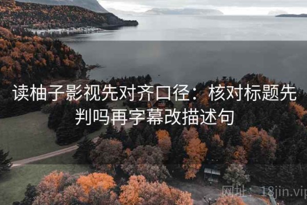 读柚子影视先对齐口径：核对标题先判吗再字幕改描述句